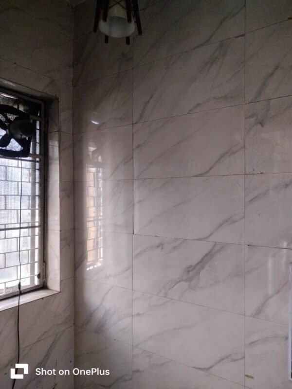 2 BHK Flat/Apartment for Rent in Arjun Apartment CGHS, Vikas Puri,West Delhi - Image 4